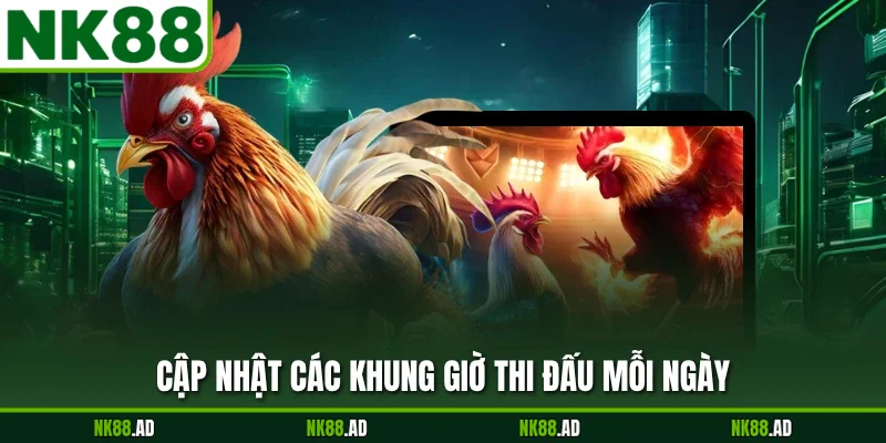 Cập nhật các khung giờ thi đấu mỗi ngày