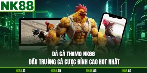 Đá Gà Thomo NK88 - Đấu Trường Cá Cược Đỉnh Cao Hot Nhất
