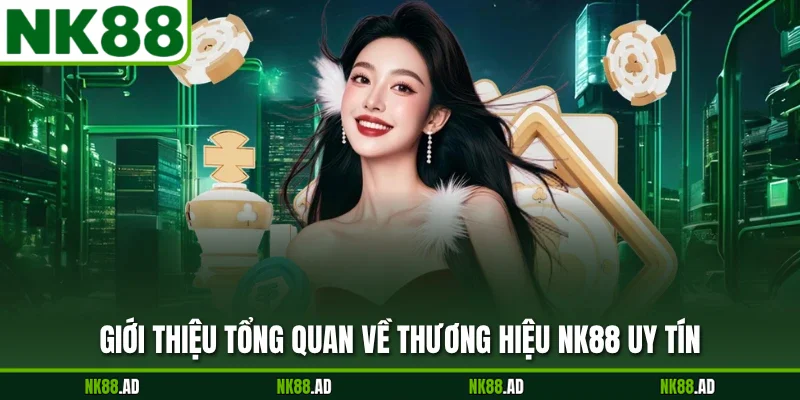 Giới thiệu tổng quan về thương hiệu NK88 uy tín