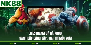 Livestream Đá Gà NK88 - Sảnh Đấu Đẳng Cấp, Giải Trí Mỗi Ngày