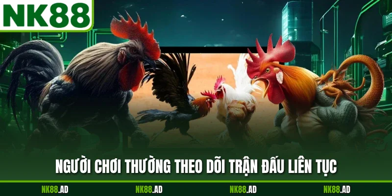 Người chơi thường theo dõi trận đấu liên tục