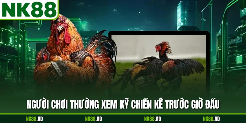 Người chơi thường xem kỹ chiến kê trước giờ đấu