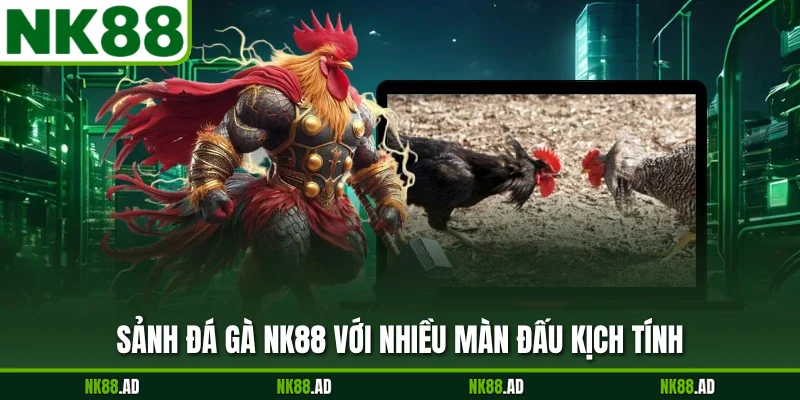 Sảnh đá gà NK88 với nhiều màn đấu kịch tính