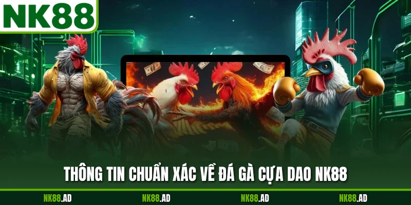 Thông tin chuẩn xác về đá gà cựa dao NK88