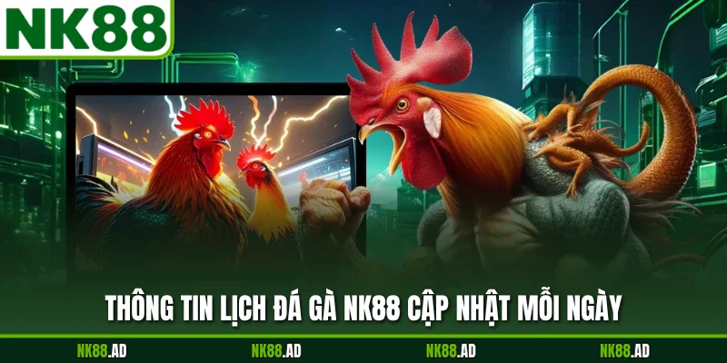 Thông tin lịch đá gà NK88 cập nhật mỗi ngày